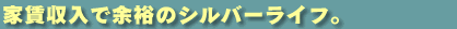 �ƒ������ŗ]�T�̃V���o�[���C�t�B