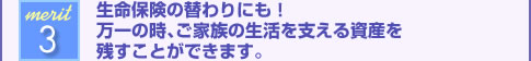 生命保険の替わりにも!万一の時、ご家族の生活を支える資産を残すことができます。